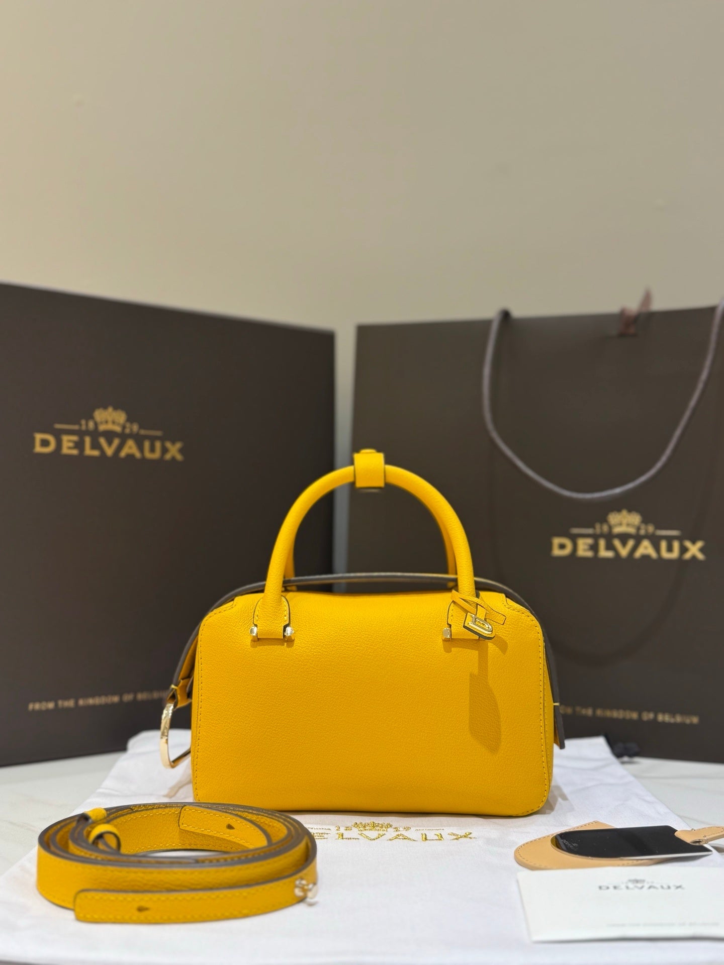 Delvaux Cool Box Mini Bohème Golden Yellow