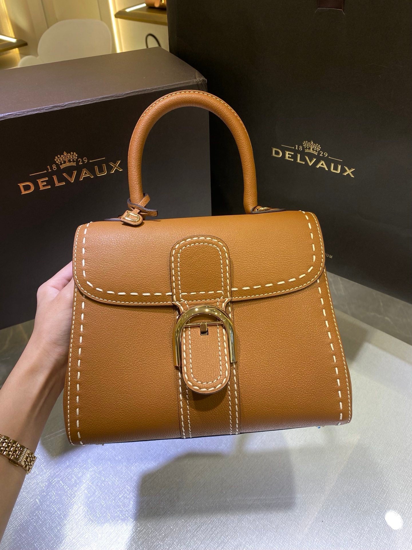 Delvaux Brillant Mini Leather Bag Camel Ferragens Douradas