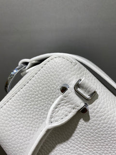 Delvaux Cool Box Nano White