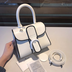 Delvaux Brillant Mini Leather Bag White / Black details