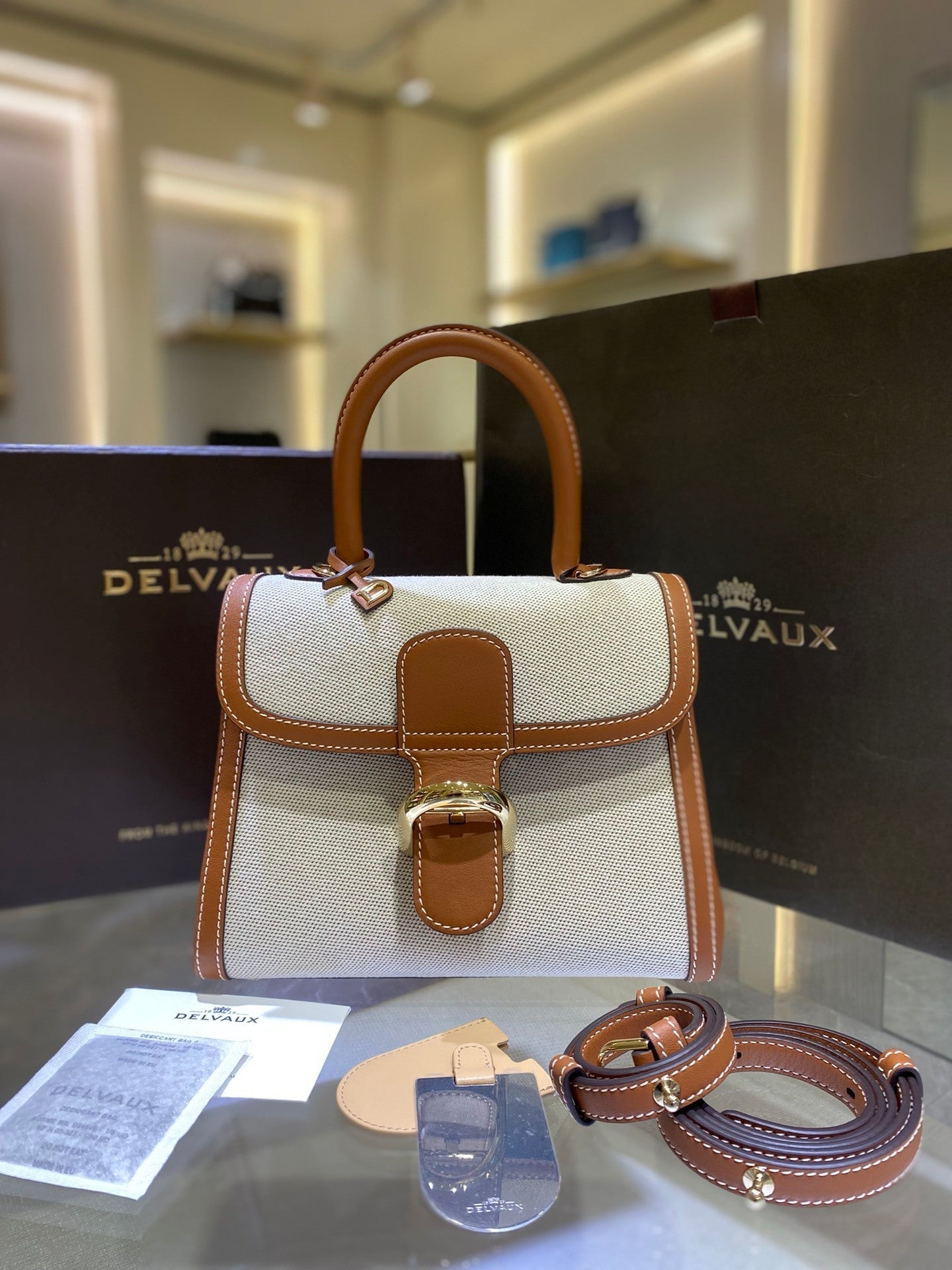 Delvaux Brillant Mini Leather Bag Off White / Caramelo