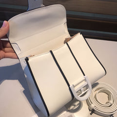 Delvaux Brillant Mini Leather Bag White / Black details