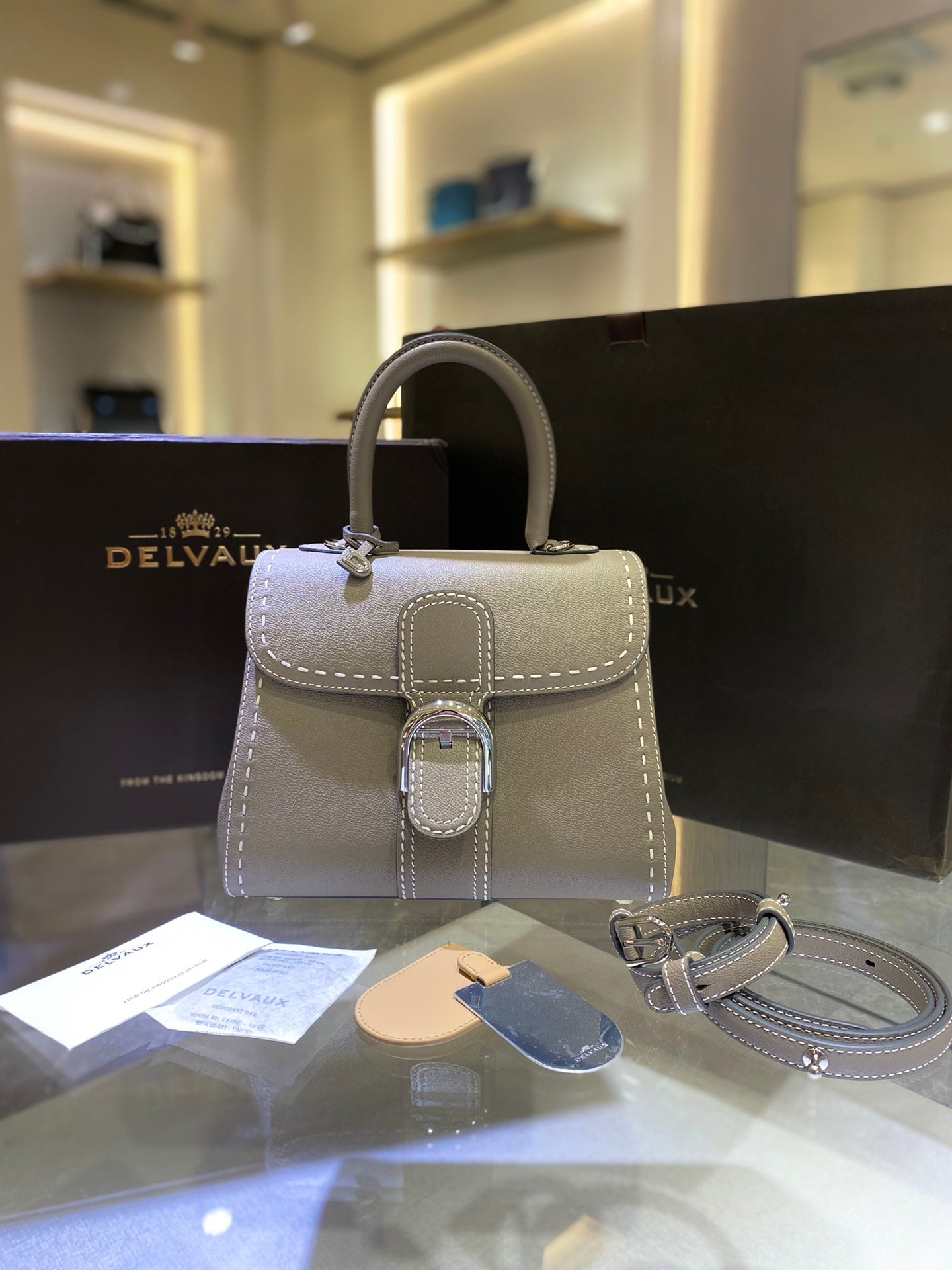Delvaux Brillant Mini Leather Bag Cinza Taupe Ferragens Prata