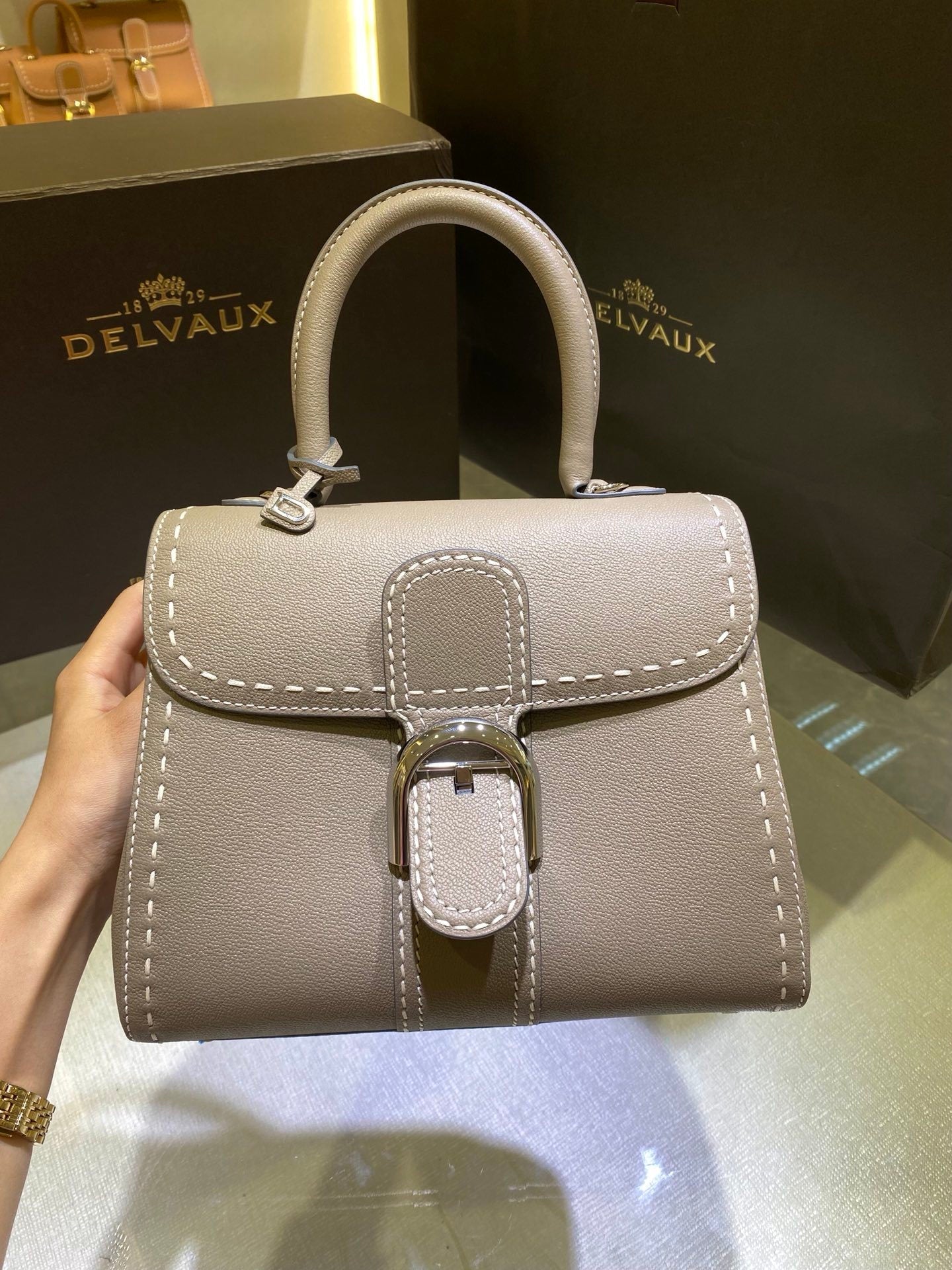 Delvaux Brillant Mini Leather Bag Cinza Taupe Ferragens Prata